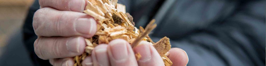 biomass