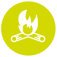 wood fuel